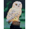 HI 70209 LED Solar Garden Stake Owl