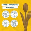 EQUO Sugarcane Utensils, Biodegradable and Compostable Spoons, Pack of 15