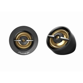 Pioneer TS-A301TW