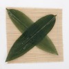 Chinese Bamboo Leaves Approximately 100 Pieces Per Pack of 100