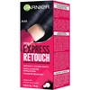 Garnier Hair Color Express Retouch Gray Hair Concealer, Instant Gray