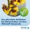 Faktu Lime Ointment x 25g