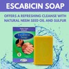 Arymar Escabicin Soap 3 oz