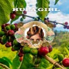 Hula Girl Kona Coffee, Grown in Hawaii, Hand Picked, Sun