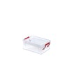 Whitefurze Allstore Container with Silver Clamp, Plastic, Natural, 0.3 Litre