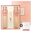 Saimdang Cosmetics Saromae Active Sun Anti-Pollution Special Set / 사임당화장품 사로매 액티브 썬 안티폴루션 기획세트