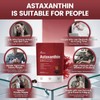 Astaxanthin 12mg, 240 Softgels, Fresh Haematococcus Pluvialis 10 in 1