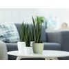 elho Brussels Round 14 - Flower Pot for Indoor -