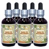 Sang Ye, Mulberry (Morus Alba) Tincture, Organic Dried Leaf Liquid