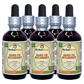 Sang Ye, Mulberry (Morus Alba) Tincture, Organic Dried Leaf Liquid Extract (Brand Name: HerbalTerra, Proudly Made in USA) 5x2 fl.oz (5x60 ml)