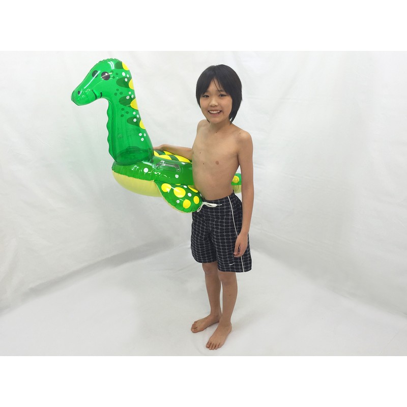 igarasi kubinagaryuuhuro-to