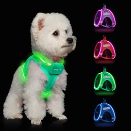 Light Up Dog Harness,Rechargeable LED Dog Harness for Small Medium Large Dogs,Reflective Lighted Safety Vest for Night Walking & Camping,Lightweight & Adjustable,Light Green,L