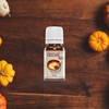 Aroma Depot Fall Fest Collection – Autumn Set of 6