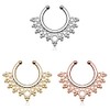 Autiga Nose Piercing Nose Ring Fake Piercing Septum Helix Piercing