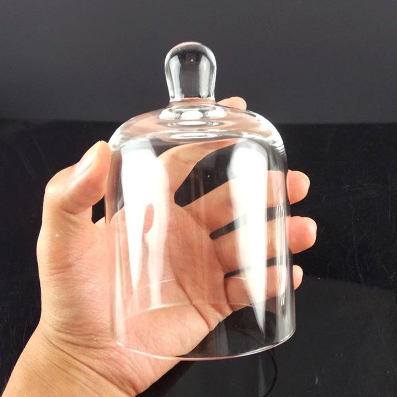 EXCEART Glass Cloche 2 Sets Clear Glass Dome Candle Glass