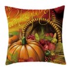 ZACINOVER Thanksgiving Turkey Fall Throw Pillow Covers 18x18 Inch, Soft