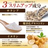 santelife サラシア16200 サラシア イヌリン 難消化デキストリン 桑の葉 ウコン 菊芋 乳酸菌 ナットウキナーゼ