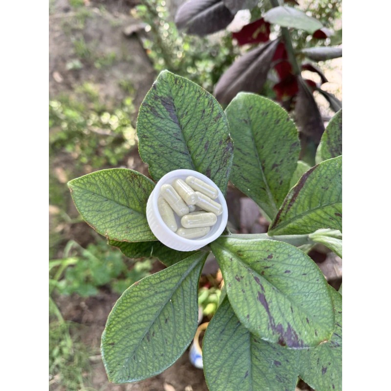 Detox Adelgazante Sweet Green Suplemento En Cpsulas No Aplica