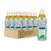 Teas' Tea Unsweetened Mint Green Tea 16.9 Fl Oz (Pack