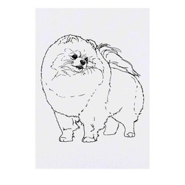 'Pomeranian' Temporary Tattoo - Water Resistant, Skin-Safe, Non-Toxic Transfer (TO00039434)