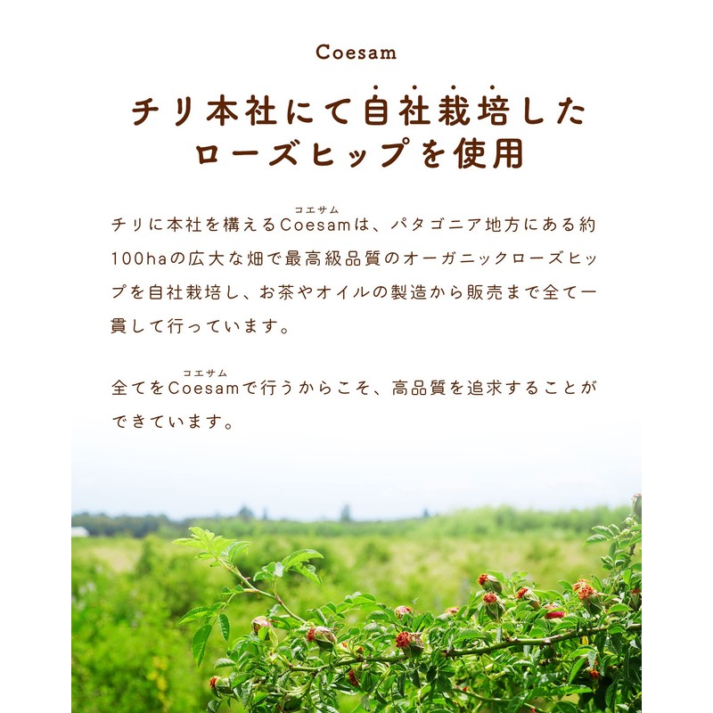 Rosehip CAFFEINE FREE Herbal Tea Organic Rose Hip Rooibos Hibiscus