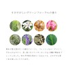 doxu-o-ganikku Moisturizing Bar G
