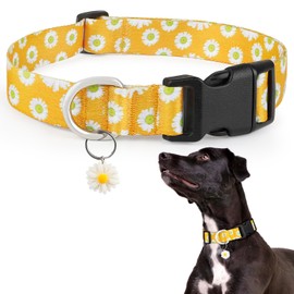 Floral Dog Collars for Girl Dogs