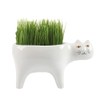 DIYOMR Cat Planter Animal Succulent Pots, Ceramic Cat Mini Flower