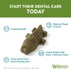 WHIMZEES WHIMZEES By Wellness Alligator, Dog Dental Sticks, 12 Pieces,