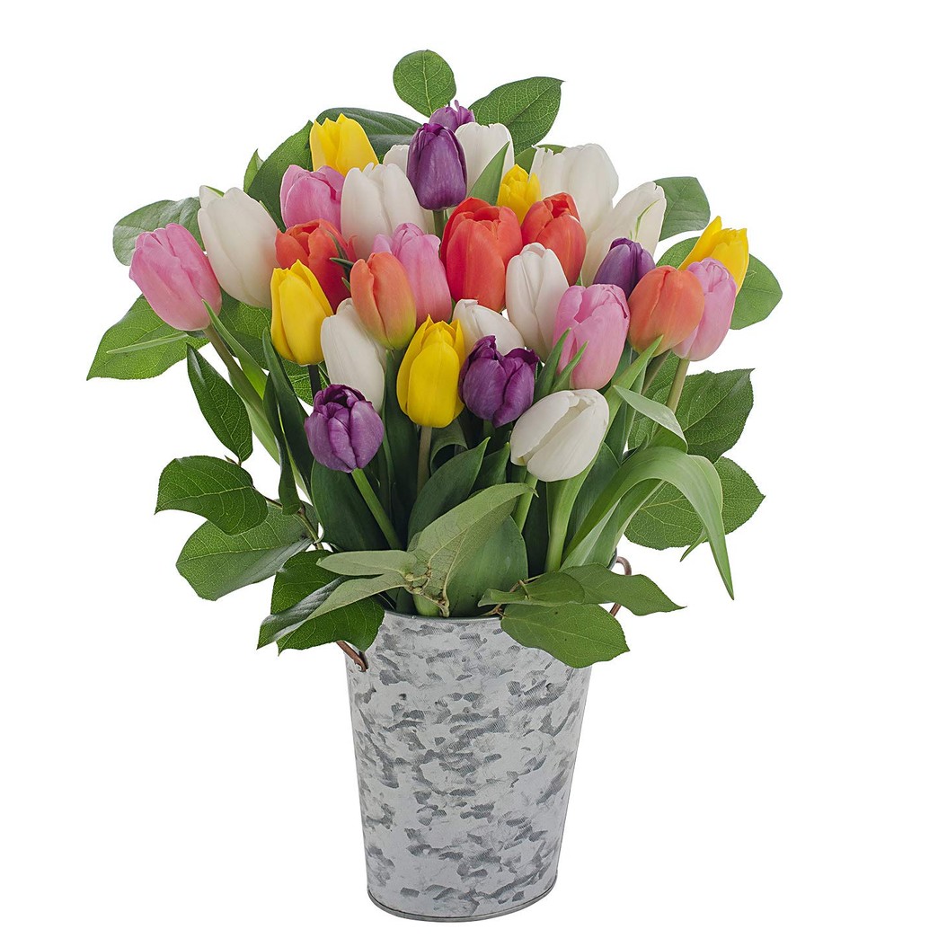 Stargazer Barn- Impressive Rainbow Bouquet - 30 Stems of Fresh Tulips with French Bucket Style Vase