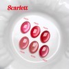 From the Nail Scarlet 6 types of individual items Red