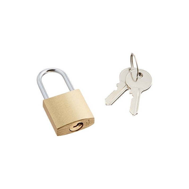 エレコム ピンタンブラー セキュリティロック 南京錠 ゴールド 幅25×奥行11×高さ51mm 真鍮 鍵2本付 ESL-NK