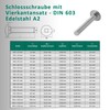 DSM - Carriage Bolts M6 x 45 mm DIN 603