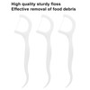 Coufce Travel Dental Floss Picks Professional Teeth Cleaning Tool Portable