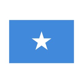 inking house Set of 5 x Somalia Flag Iron on Screen print transfer for Fabrics machine washable Applique Somalian Flag