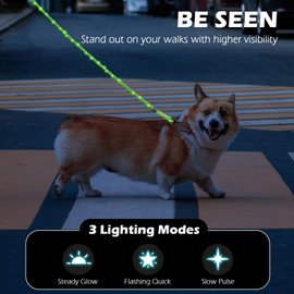 PetBonus 5 FT LED Dog Leash, Rechargeable Light Up Rope Dog Lead, 3 Lighting Modes, Thick Soft Padded Handle, Safer Night Walking for Small Medium Dogs (Green)