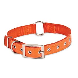 Aspen Pet Products O-Ring 2Ply Petmate Collar, 1" x 20-28", Orange