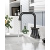 FORIOUS RV Bathroom Sink Faucet 2 or 3 Hole Matte