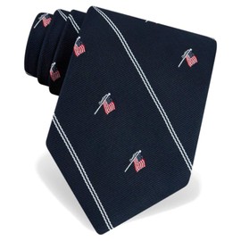 Wild Ties Men's Navy Blue American Flag Stripe Home of the Brave Novelty Tie Necktie
