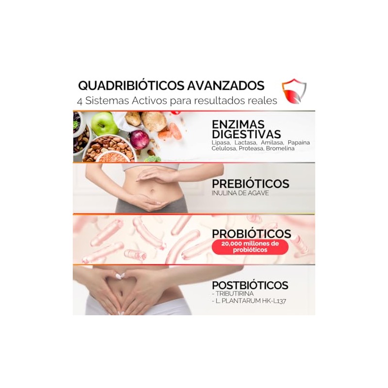 Enzimas digestivas Probioticos Prebioticos Postbioticos Fórmula Vegana 4 en 1
