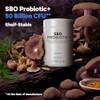 Codeage Codeage SBO Probiotics, 50 Billion CFUs Per Serving, Multi
