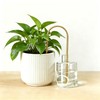 Self-Watering Wick System for Effortless Plant Care, Automatic Drip Irrigation,