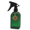 OFFIDIX Fine Mist Plant Mister,Handheld Pressure Glass Spray Bottles,Watering Can