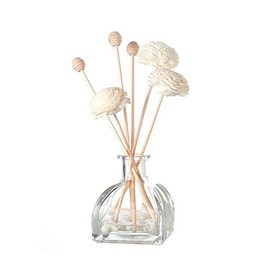 NATUWORLD 1PCS 100ml/3.4oz Empty Refillable Clear Glass Diffuser Bottles Fragrance Jar Pot for DIY Replacement Reed Diffuser Sticks Sets Essential Oils DIY Diffuser Craft Projects Wedding Party