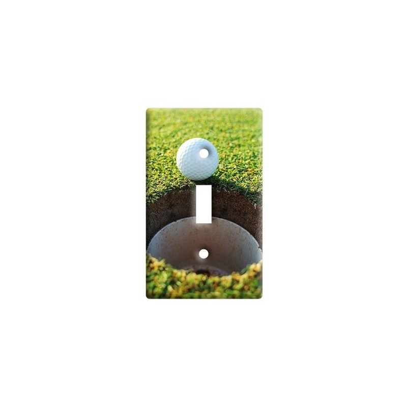 Golf Ball Near Hole on Course - Plastic Wall Decor