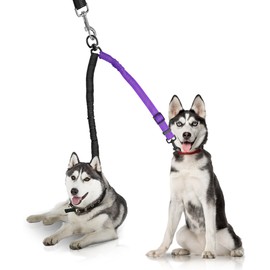 YAODHAOD Double Dog Leash,Two Dog Leash Splitter, No Tangle 360° Swivel Rotation Reflective Lead, Adjustable Length Bungee Heavy Duty Walking Training Dual Extension (Black + Purple)