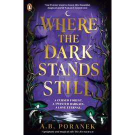 Where the Dark Stands Still: A sweeping, gothic YA fairytale romance