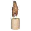 Brave Wings Hand Carved Wooden Eagle ~ While Tailed Eagle