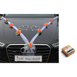 Organza M + Hearts® Car Decoration (Coral/White/White)