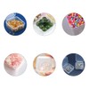 Pamtns Pack of 15 Storage Boxes Small Clear Plastic Beads